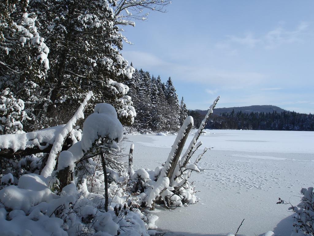 Manoir Du Lac Sept-Iles Saint-Raymond المظهر الخارجي الصورة